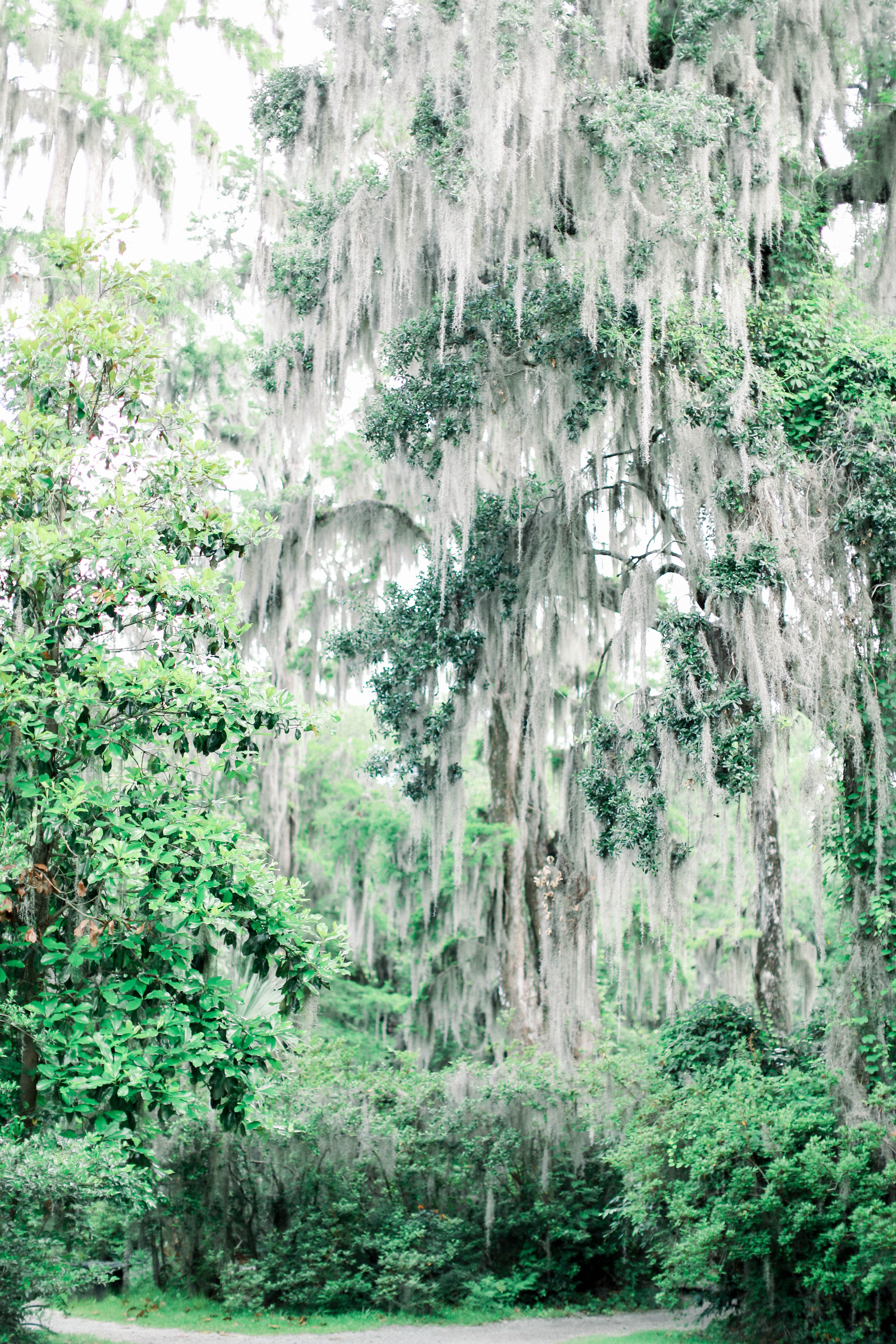 Charleston Wedding Planners