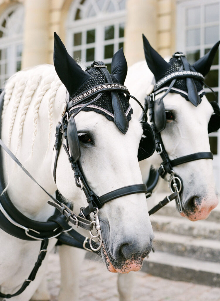 Horse Carriage at Château de Champlâtreux Wedding